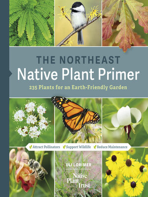 cover image of The Northeast Native Plant Primer